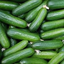 fresh cucumber