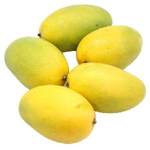 Fresh Natual Mango