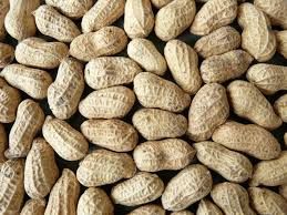 Brown Shelled Groundnuts