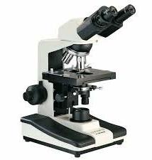 binocular microscope