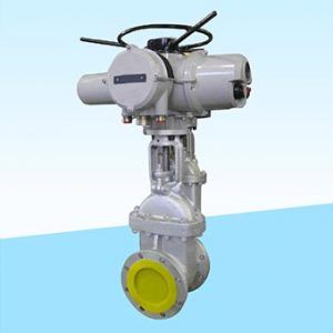 Electrically Operated Gate Valve