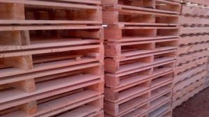 Rubber Wood Pallet