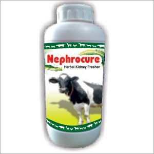 Nephrocure Herbal Kidney Fresher