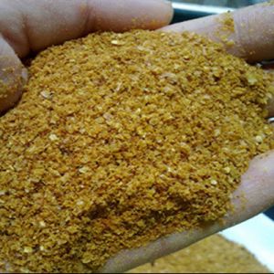 Corn Gluten Meal, Packaging Type : Brown, Yellow