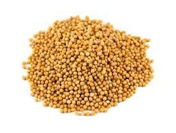 mustard seeds