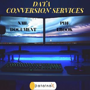 data conversion service