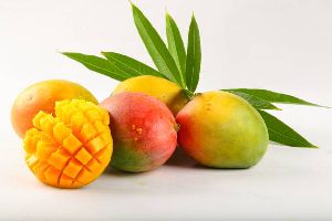 Alphonso Fresh Mango