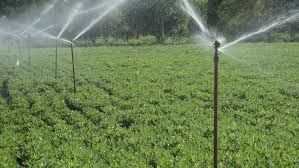Irrigation Sprinkler