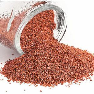 Asaliya Herbal Seeds