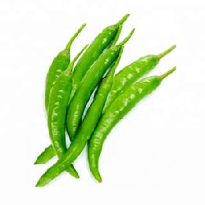 fresh green chilli