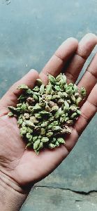 green cardamom