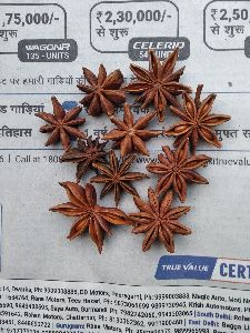 Star Anise