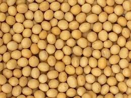 GMO/ Non-GMO Soybean