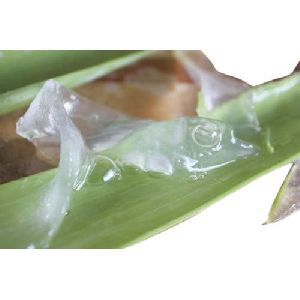 Herbal Aloe Vera Pulp