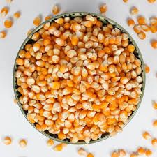 Raw Corn Seeds