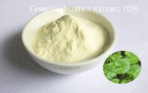 Centella Asiatica Extract Asiatic acid
