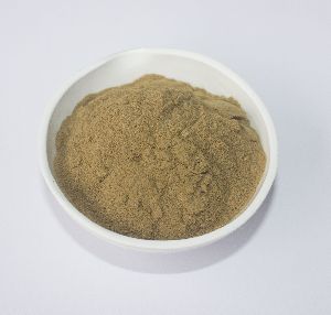 Olive Leaf Extract oleuropein and hydroxytyrosol