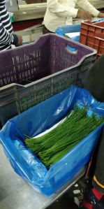 Natural Chives, Packaging Type : Poly Bags