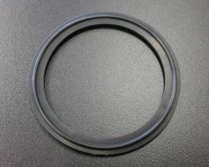 Silver Viton Gasket