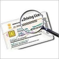 driving licence services