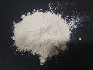 diatomaceous earth powder