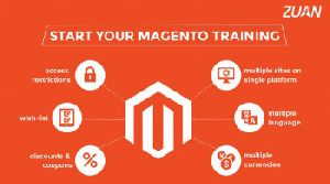 magento training course in chennai
