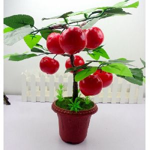 Hybrid Cherry Plant