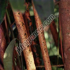 Organic Cinnamon Bark Oil