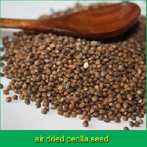 Perilla Seeds