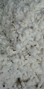 Organic raw cotton