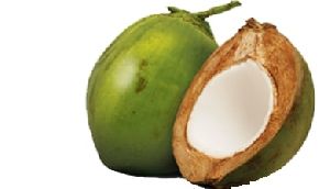 Country Tender Coconut