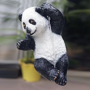 Hanging Panda