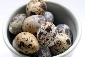 quail eggs near me