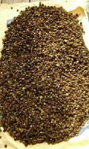Akarkara Seeds
