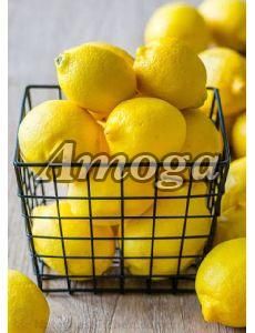 Fresh Green Seedless Lemon