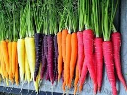 Fresh Yellow and Mixed Carrots