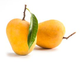 Fresh Mango At Best Price In Ariyalur Tamil Nadu From Glodawnn