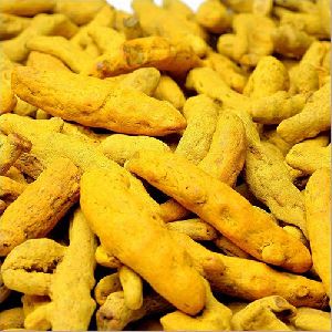 Raw Natural Turmeric Finger For Spices Food Medicine Cosmetics
