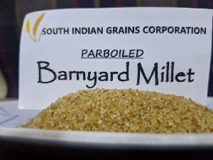 Barynard millet parboiled ( kuthiraivali)
