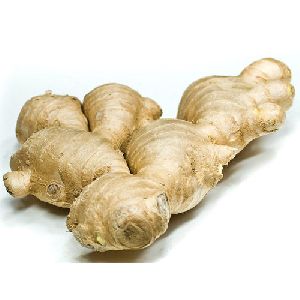 raw ginger