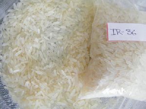 IR-36 White Rice