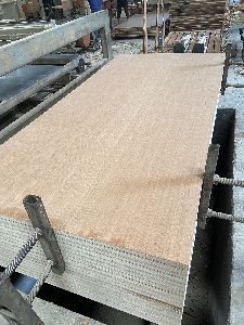 2400x1160x28mm Container Flooring Plywood Waterproof