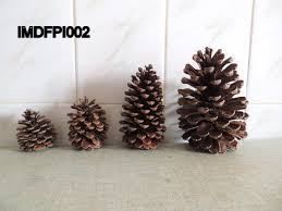Dried Pine cone