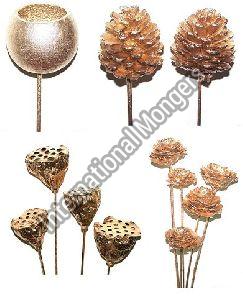 Exotic Dried Flowers