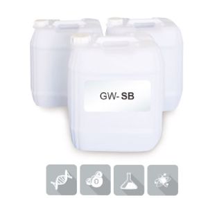 Jinwoong GW SB Plastic Cleaner Chemical