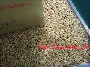 Cashewnut Kernels Vietnam SW320