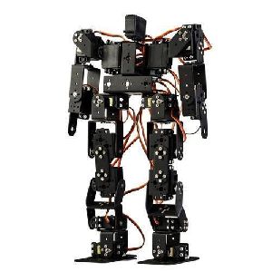 Humanoid Robot System