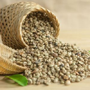 Arabica Coffee Parchment Green Beans (Grade A)