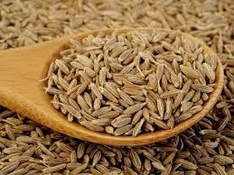 cumin seed