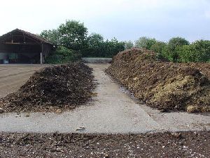 MSW Composting Culture